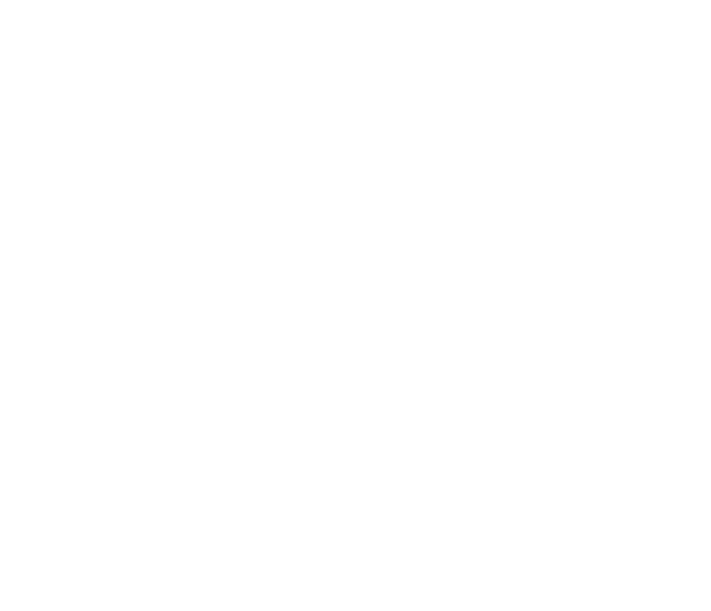 3iS-logo_executive-blanc